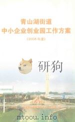 青山湖街道中小企业创业园工作方案(2008年度) PDF电子版封面