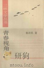 青春视角 1995 PDF电子版封面 750710333 秦新民著