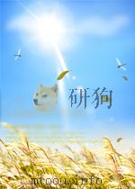 左手白菜，右手玫瑰时尚女人的幸福哲学（ PDF版）