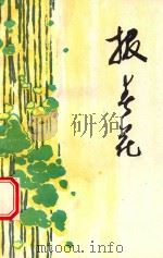 报春花（ PDF版）