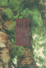 鉴赏家  春天枫林晓城（ PDF版）