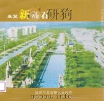 展望新岛石 中国山核桃第一镇 PDF电子版封面