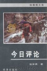 绿橄榄文集 今日评论 1998 PDF电子版封面 7806071415 张泽勇著
