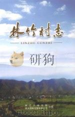 竹林村志（ PDF版）