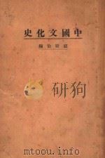 中国文化史 下 1925 PDF电子版封面 顾康伯著;任城,王朝阳,刘海粟等校订