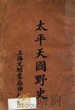 太平天国野史 1928 PDF电子版封面 凌善清编