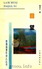 回望 1996 PDF电子版封面 7536712251 杨泽文著
