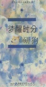 梦醒时分 1994 PDF电子版封面 7800825655 吴振尧著