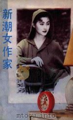 新潮女作家 1992 PDF电子版封面 7531307790 孙因著