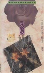 裂纹 1994 PDF电子版封面 753632880X (壮族)岑献青著