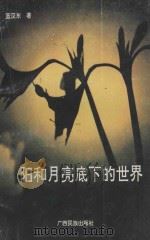 太阳和月亮底下的世界 1994 PDF电子版封面 7536328133 蓝汉东著