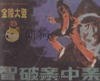 智破案中案 《金陵大盗》 5 1985 PDF电子版封面 8028·2079 向南方改编;张楠,高奇等绘画