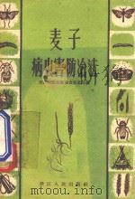 麦子病虫害防治法   1956  PDF电子版封面  T16103·31  浙江省农业厅粮食生产处编著 