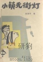 小镇无街灯 1991 PDF电子版封面 7800538796 赵剑平著