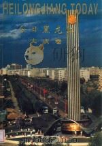 今日黑龙江 大庆卷 1999 PDF电子版封面 7801071840 黑龙江省计划委员会;大庆市计划委员会;中国社会经济调查所联合