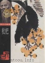枇杷 1998 PDF电子版封面 7535611168 齐白石绘