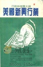 美国新兴行业  巧思妙想赚大钱（ PDF版）