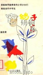 野鸽子   1989  PDF电子版封面  7805570833  姜优君著 