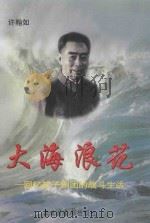 大海浪花  回忆孩子剧团的战斗生活   1998  PDF电子版封面  7501315078  许翰如著 