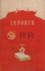 文化革命的红旗 1960 PDF电子版封面 T3103·350 浙江人民出版社编