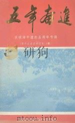 漳平文史资料 总第19辑 五年奋进 1995 PDF电子版封面 政协漳平市委员会文史委员会编