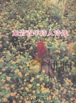 龙岩青年诗人诗选（ PDF版）