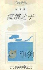 流浪之子   1993  PDF电子版封面  7805556776  颜东著 