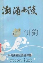 潮涌西陵 1999 PDF电子版封面 《潮涌西陵》编委会编