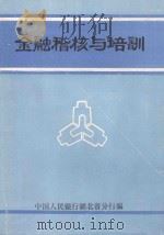 金融稽核与培训（ PDF版）