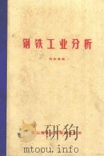 钢铁工业分析（ PDF版）