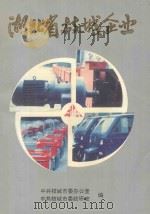 湖北省枝城企业 1994 PDF电子版封面 中共枝城市委办公室,中共枝城市委政策研究室编