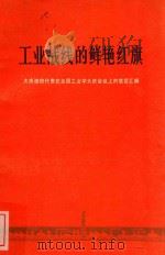 工业战线的鲜艳红旗 大庆油田代表在全国工业学大庆会议上的发言汇编 1997 PDF电子版封面 30011592