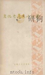 文化大普及的红旗 巢县司集人民公社文化工作介绍 1960 PDF电子版封面 7102159 安徽省文化局编