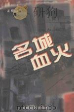 名城血火 1998 PDF电子版封面 7540419032 龙楠林著