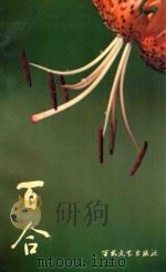 百合 1995 PDF电子版封面 7530620894 大庆石油管理局物资供应处文联编;王厚光主编