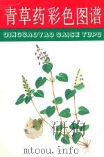 青草药彩色图谱 1995 PDF电子版封面 7533506227 赵秀贞等编写;邓盈丰等绘图