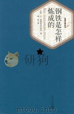 钢铁是怎样炼成的 1995 PDF电子版封面 9787020042265 (苏联)尼·奥斯特洛夫斯基著;梅益译