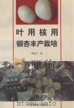 叶用核用银杏丰产栽培 1997 PDF电子版封面 7503817917 邢世岩著