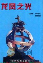 龙凤之光 1998 PDF电子版封面 7531710137 付淑兰主编