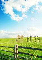 天文通讯  1981年  第12号（1981 PDF版）