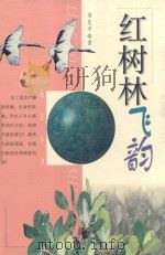 红树林飞韵 1997 PDF电子版封面 7539715731 刘先平著;解振华