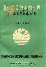 琳琅满目的美的世界 语文课美学现象分析 1989 PDF电子版封面 7504103586 王钦韶主编