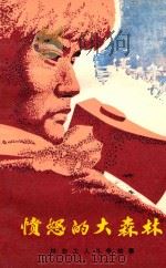 愤怒的大森林 林业工人斗争故事 1978 PDF电子版封面 70911009 中共临江林业局委员会政治部编