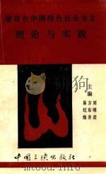 建设有中国特色社会主义理论与实践 1993 PDF电子版封面 7800990354 易纪维等主编
