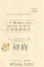 小叶杨 POPUIUS SIMONII CARRIESE 幼苗生长动态的研究 中国科学院治沙队1962年科学研究总结会议 1962 PDF电子版封面 蒲锦春,鲁作民,王国校编