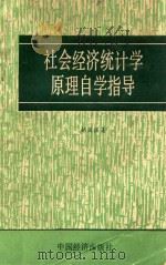 社会经济统计学原理自学指导 1989 PDF电子版封面 7501702284 胡国强著