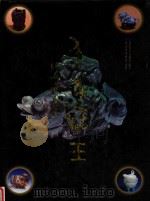 千古宝玉 杜心藏玉集 1997 PDF电子版封面 7806134484 上海市宝玉石协会编著
