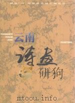 云南诗画 1999 PDF电子版封面 7222027394 99昆明世博会指挥部宣传文化大型活动部,中国书法艺术研究院西