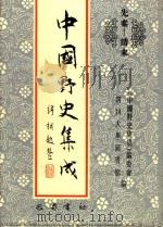 中国野史集成 13 先秦-清末 PDF电子版封面 《中国野史集成》编委会,四川大学图书馆编