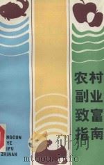 农村副业致富指南 1987 PDF电子版封面 7532300110 唐宗等著